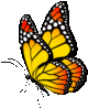 Wingwave jelképe a pillangó