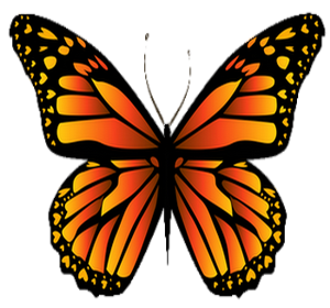 Schmetterling ist das Symbol von Wingwave